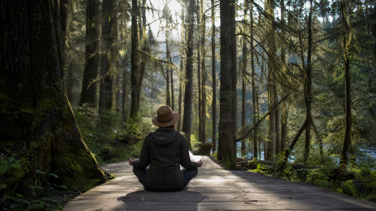 pudacuo forest meditation